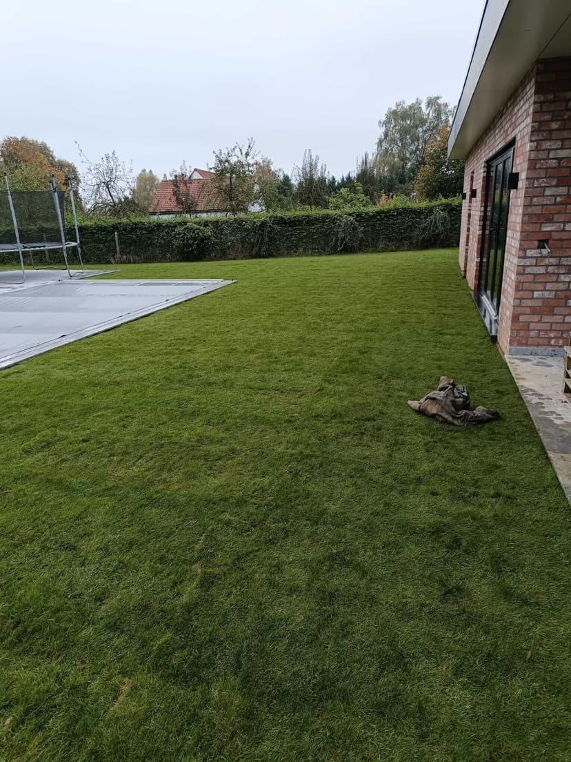 Résultat après pose de gazon en rouleau